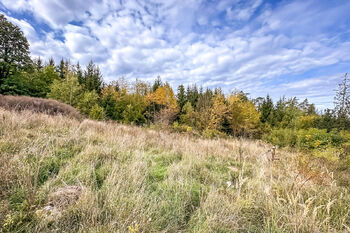 Prodej pozemku 1289 m², Družec