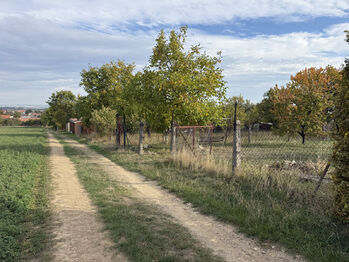 Prodej domu 97 m², Mohelno