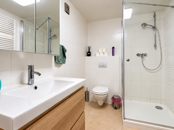 Pronájem bytu 2+kk v osobním vlastnictví 50 m², Plzeň