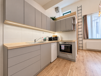 Pronájem bytu 2+kk v osobním vlastnictví 50 m², Plzeň