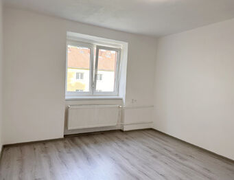 Prodej bytu 1+1 v osobním vlastnictví 30 m², Dolní Benešov