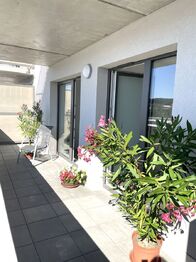 Pronájem bytu 2+kk v osobním vlastnictví 66 m², Plzeň