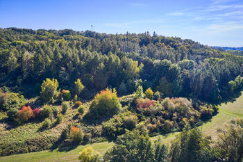 Prodej pozemku 31440 m², Račice nad Trotinou