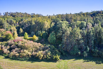 Prodej pozemku 31440 m², Račice nad Trotinou