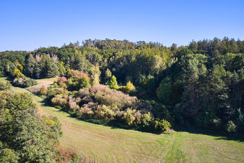 Prodej pozemku 31440 m², Račice nad Trotinou