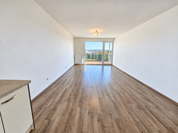 obývací pokoj - Pronájem bytu 3+kk v osobním vlastnictví 107 m², České Budějovice