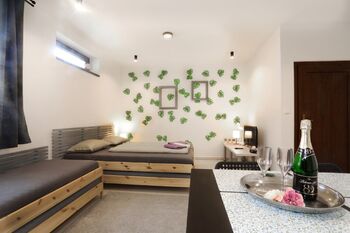 Prodej ubytovacího zařízení 330 m², Veselí nad Moravou