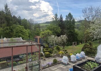Prodej chaty / chalupy 100 m², Březová nad Svitavou