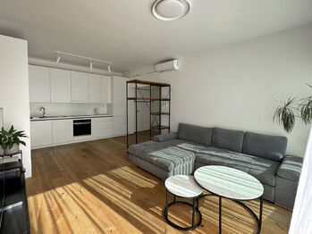 obývací pokoj  - Pronájem bytu 2+kk v osobním vlastnictví 52 m², Praha 8 - Karlín