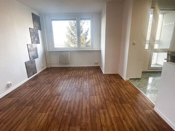 Obývací pokoj - Pronájem bytu 3+kk v osobním vlastnictví 69 m², Praha 4 - Kamýk
