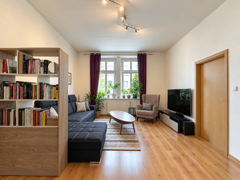 obývací pokoj - Pronájem bytu 2+1 v osobním vlastnictví 65 m², Plzeň