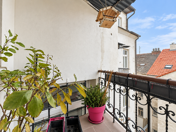 Pronájem bytu 2+1 v osobním vlastnictví 65 m², Plzeň