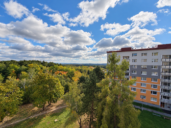 Prodej bytu 1+1 v osobním vlastnictví 34 m², Chomutov