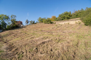 Prodej domu 235 m², Velké Žernoseky