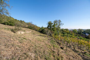 Prodej domu 235 m², Velké Žernoseky