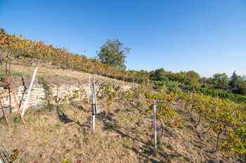 Prodej domu 235 m², Velké Žernoseky