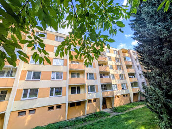 Prodej bytu 1+1 v osobním vlastnictví 31 m², Jihlava