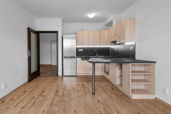 Pronájem bytu 2+kk v osobním vlastnictví 55 m², Plzeň