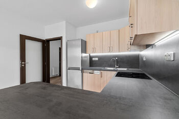Pronájem bytu 2+kk v osobním vlastnictví 55 m², Plzeň