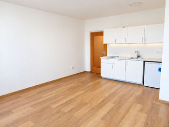 Pronájem bytu 1+kk v osobním vlastnictví 36 m², Praha 10 - Strašnice