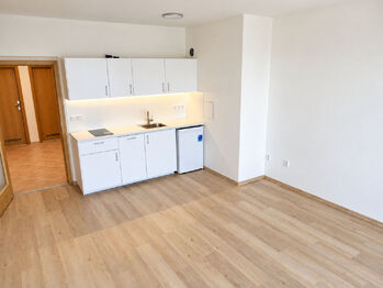 Pronájem bytu 1+kk v osobním vlastnictví 36 m², Praha 10 - Strašnice