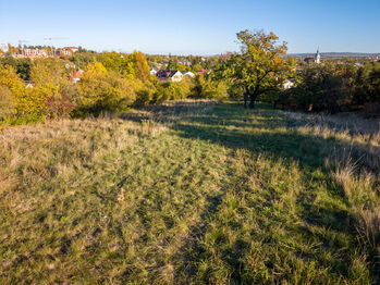 Prodej pozemku 8189 m², Vyškov