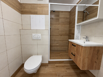 Pronájem bytu 1+1 v družstevním vlastnictví 34 m², Slavkov u Brna