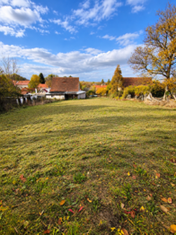 Prodej domu 100 m², Nepomyšl