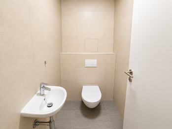 Pronájem bytu 4+kk v osobním vlastnictví 111 m², České Budějovice