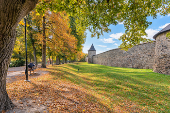 Prodej domu 240 m², Polička