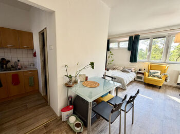 Pronájem bytu 1+1 v osobním vlastnictví 36 m², Praha 4 - Krč