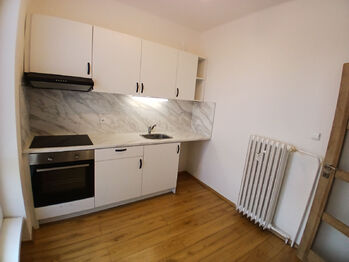 Pronájem bytu 1+1 v osobním vlastnictví 41 m², Lovosice