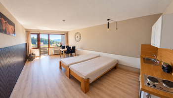 Prodej bytu 1+kk v osobním vlastnictví 38 m², Haidmühle