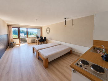 Prodej bytu 1+kk v osobním vlastnictví 38 m², Haidmühle