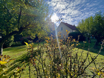 Prodej domu 90 m², Suchdol nad Lužnicí