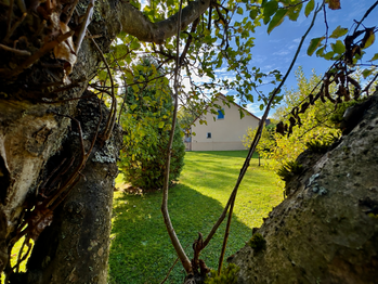 Prodej domu 90 m², Suchdol nad Lužnicí