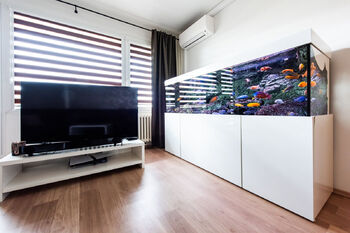 Prodej bytu 3+1 v osobním vlastnictví 74 m², Brno
