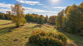 Prodej pozemku 38114 m², Lom u Tachova