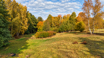 Prodej pozemku 38114 m², Lom u Tachova