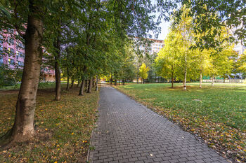 Pronájem bytu 2+kk v osobním vlastnictví 43 m², Praha 8 - Kobylisy
