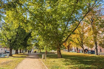Prodej bytu 3+kk v osobním vlastnictví 76 m², Lysá nad Labem