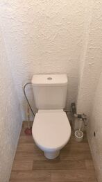 Pronájem bytu 2+1 v osobním vlastnictví 60 m², Habartov