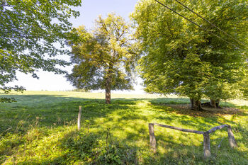 Prodej pozemku 4759 m², Teplice nad Metují