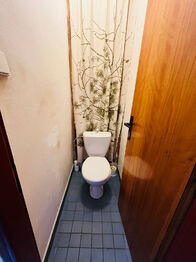 Samostatné WC. - Prodej domu 150 m², Borová Lada