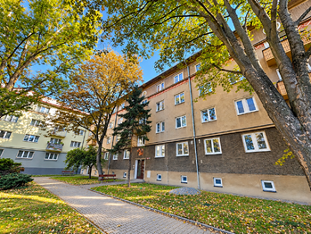 Pronájem bytu 2+1 v osobním vlastnictví 54 m², Kladno