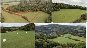 Prodej pozemku 28000 m², Františkov nad Ploučnicí