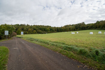 Prodej pozemku 28000 m², Františkov nad Ploučnicí