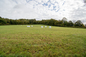 Prodej pozemku 28000 m², Františkov nad Ploučnicí