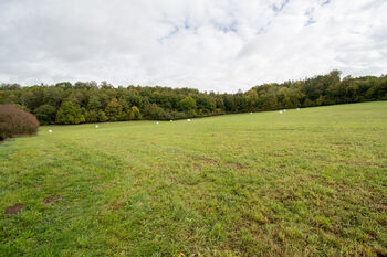 Prodej pozemku 28000 m², Františkov nad Ploučnicí