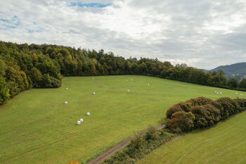 Prodej pozemku 28000 m², Františkov nad Ploučnicí